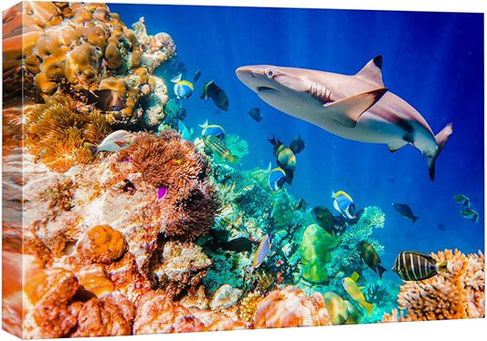 wall26 Canvas Print Wall Art Shark Fish Multicolor Coral Reef Ocean Sea Nature Animals Photography Realism Rustic Scenic Landscape Wilderness Earth for Living Room, Bedroom, Office - 24"x36"
