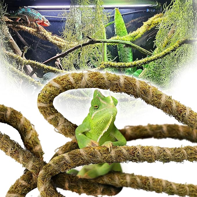 Duspro 6.5FT Reptile Vine & Moss Set for Climbing Bendable Branch, Natural Moss Rope Jungle Decor for Bearded Dragon, Chameleon Tank Accessories, Snake Gecko Lizard Terrarium