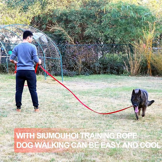 Dog/Puppy Obedience Recall Training Agility Lead - 15ft 20ft 30ft 40ft 50ft Training Leash - Great for Play, Camping, or Backyard (Rainbow, 20 Feet)