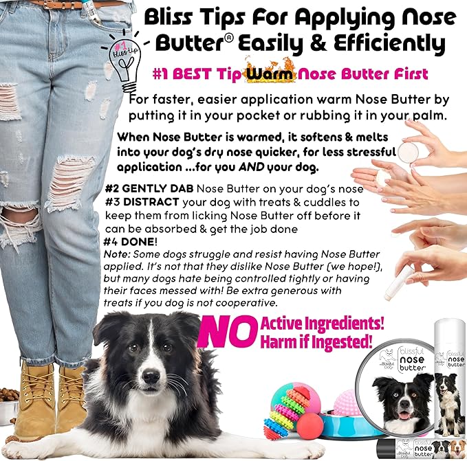 The Blissful Dog Border Collie Nose Butter for Dry, Cracked Skin, Lick-Safe Dog Nose Balm with Moisturizing Shea Butter, Almond, Olive, and Essential Oils, Pet Supplies, Uncented, 8 oz.