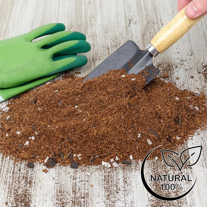 Soil Sunrise Terrarium Potting Soil Mix (4 Quarts) w/Blended Filtering Charcoal Custom Made for Terrariums