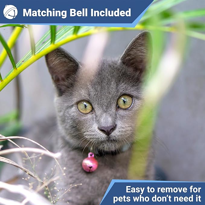 GoTags Personalized Reflective Cat Collars with Tag, Engraved Custom with Name and Phone, Breakaway Collar with Safety Buckle and Bell, Adjustable for Cats and Kitten, (Blue with Nameplate)