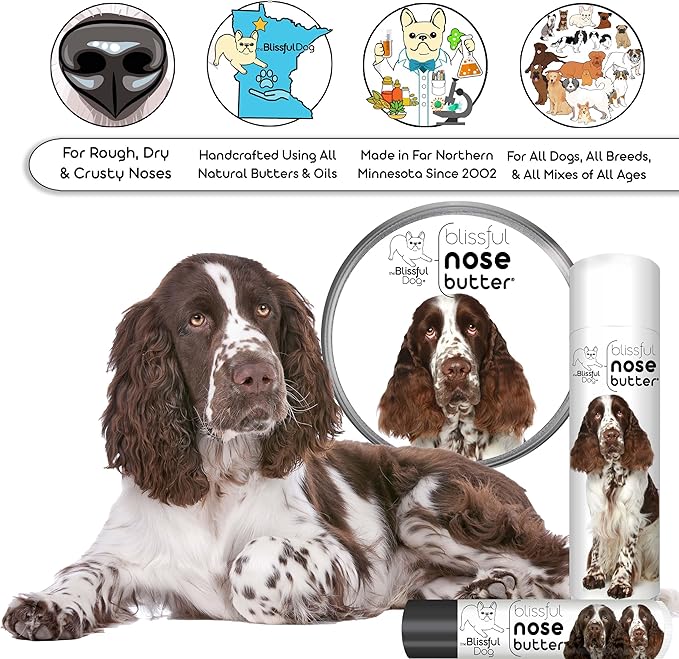 The Blissful Dog Springer Spaniel Nose Butter for Dry, Cracked Skin, Lick-Safe Dog Nose Balm with Moisturizing Shea Butter, Almond, Olive, and Essential Oils, Pet Supplies, Uncented, 0.15 oz.