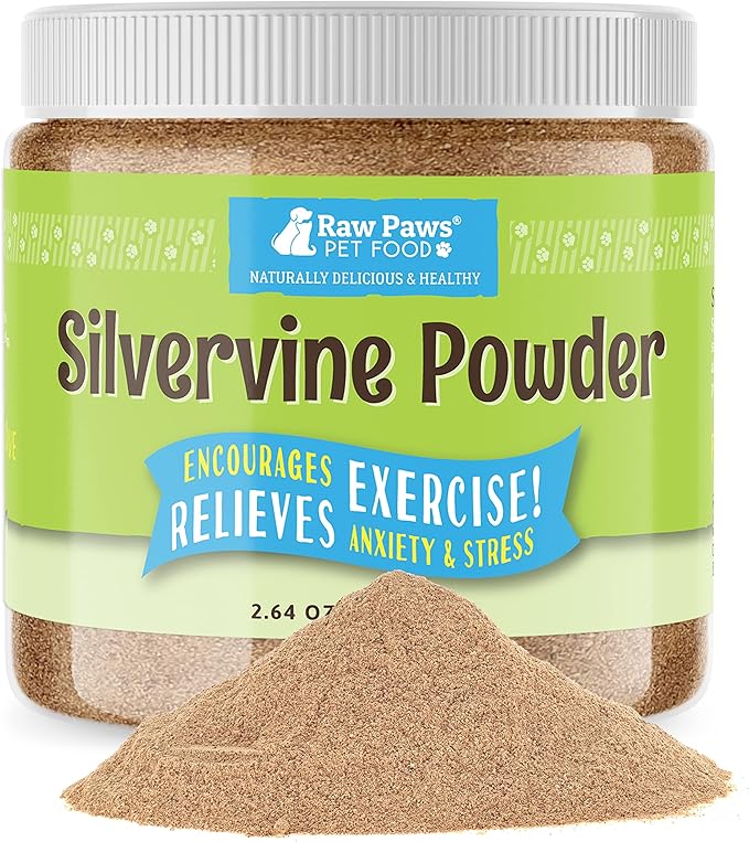 Raw Paws Silvervine Powder, 75 Grams - 2X More Attractive than Catnip for Cats, 100% Silver Vine Gall Fruit Powder, Matatabi Silvervine Cat Toy for Indoor Cats, Catnip Kitten Toys, Silvervine for Cats