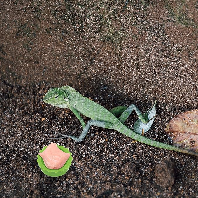 7 Pack Reusable Small Reptile Feeding Dish Crested Gecko Food and Water Feeding Cups Crested Gecko Food Dish Colorful Water Bowl Reptile Foods Dish for Tortoise, Small Pet and Crab