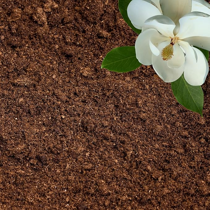 Peat Moss for Plants – Organic Sphagnum Peat Moss for Orchids, Terrariums, Seed Starting, Reptiles & Potting Soil Mix (1 Quart)