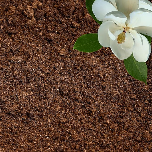 Peat Moss for Plants – Organic Sphagnum Peat Moss for Orchids, Terrariums, Seed Starting, Reptiles & Potting Soil Mix (1 Quart)