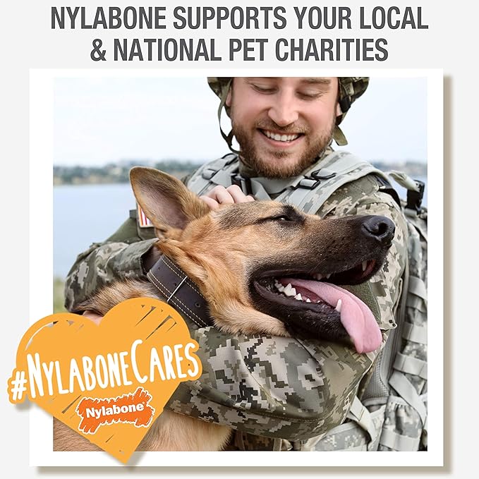 Nylabone Nutri Dent Dog Dental Chews - Natural Dog Teeth Cleaning & Breath Freshener - Dental Treats for Dogs - Filet Mignon Flavor, Mini (32 Count) (Pack of 2)