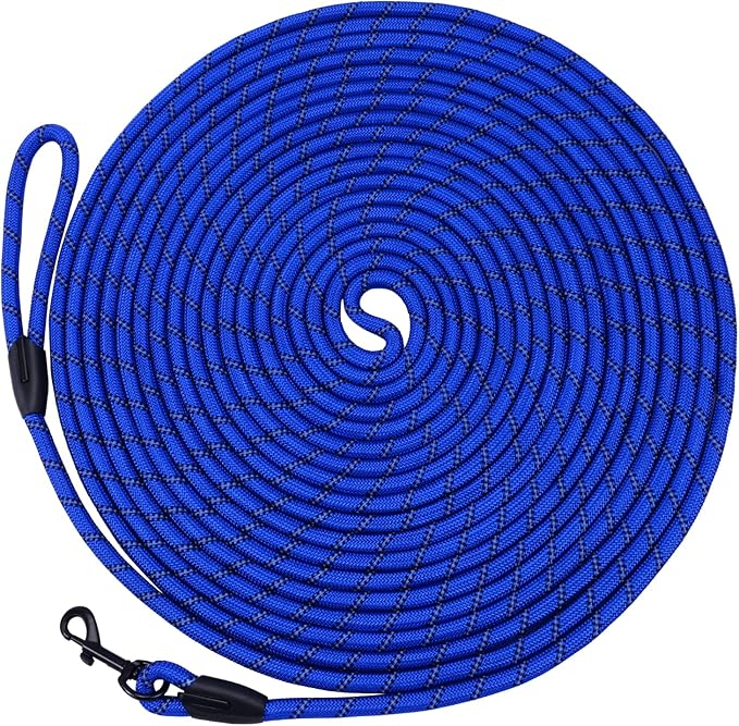 Long Dog Leash for Training 20Ft-Reflective Nylon Rope with Swivel Hook-Recall Agility Lead for Large Small Medium Dogs Outside Walking Hiking-Royal Blue