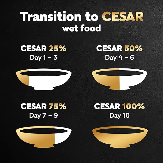 Cesar Warm Bowls Wet Dog Food Chicken & Beef Entree with Vegetables Entrée, 2.7 oz. Trays (10 Count, Pack of 1)