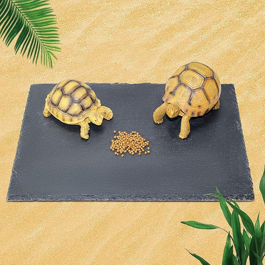 Tortoise Habitat basking Rock Feeding Dish Bearded Dragon/Lizard Original Rock Slab,Easy to Grind The Nails,with Non-Slip mats,Natural Food Bowl,Moisturizing Effect(Large- Size)