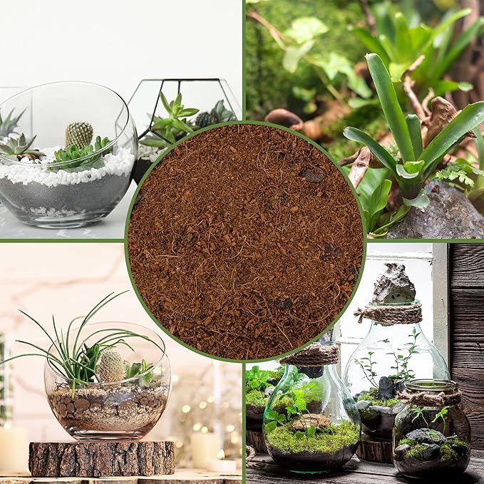 Soil Sunrise Terrarium Potting Soil Mix (4 Quarts) w/Blended Filtering Charcoal Custom Made for Terrariums