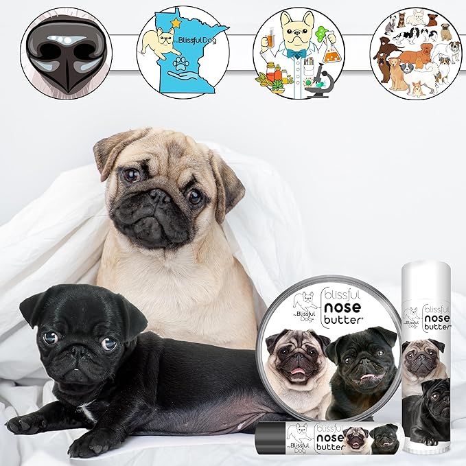 The Blissful Dog Pug Duo Unscented Nose Butter - Dog Nose Butter, 4 Ounce