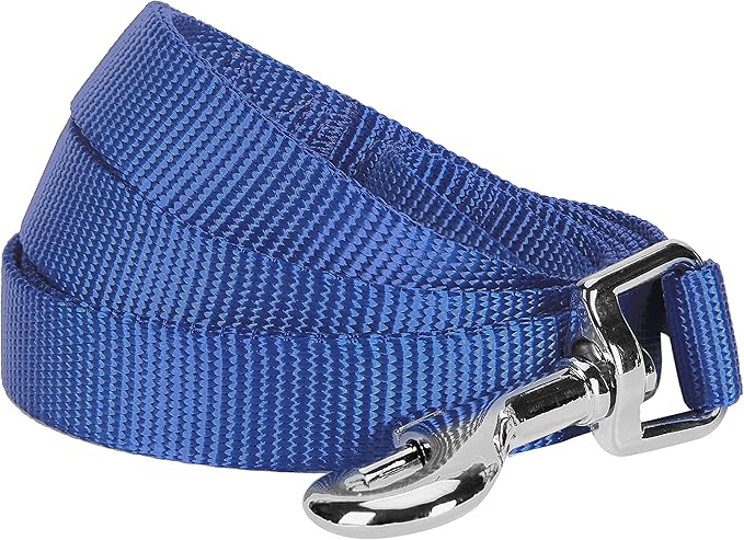 Blueberry Pet Essentials Marina Blue Dog Leash for Large - 4' * 1" Dogs | Heavy Duty Nylon Lead | Lightweight Puppy & Cat Leash for Walking & Training