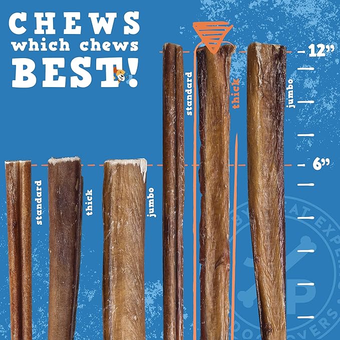 Jack&Pup 12 Inch Bully Sticks for Large Dogs | Thick Odor Free Bully Sticks (10 Pack) Long Lasting Bully Sticks for Dogs