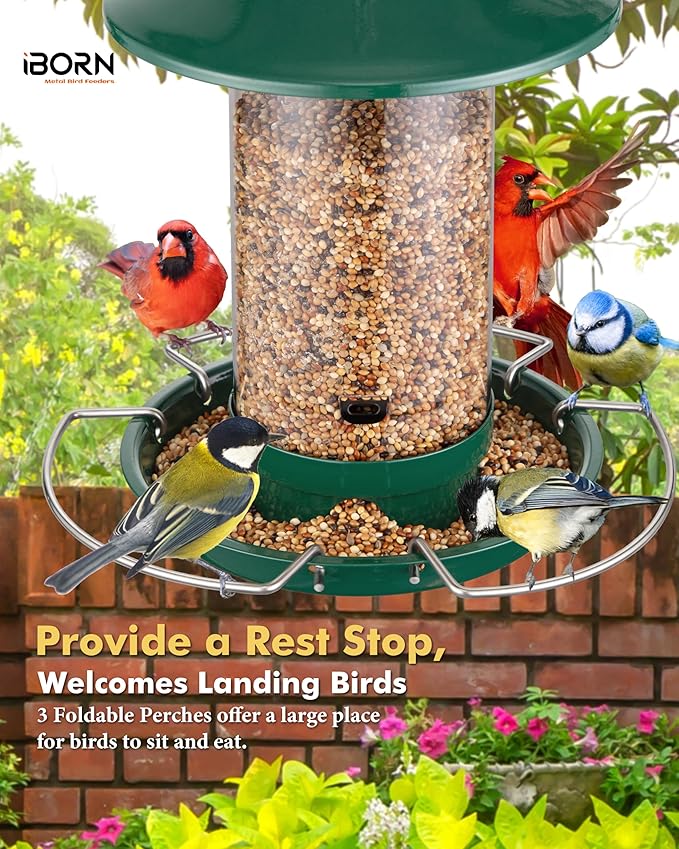 iBorn Bird Feeder Metal Squirrel Chew-Proof Bird Feeders for Outdoors Hanging for Cardinal Outside, Holds 1.5LB Seed with 3 Perchs, Green (Seed is not Included)