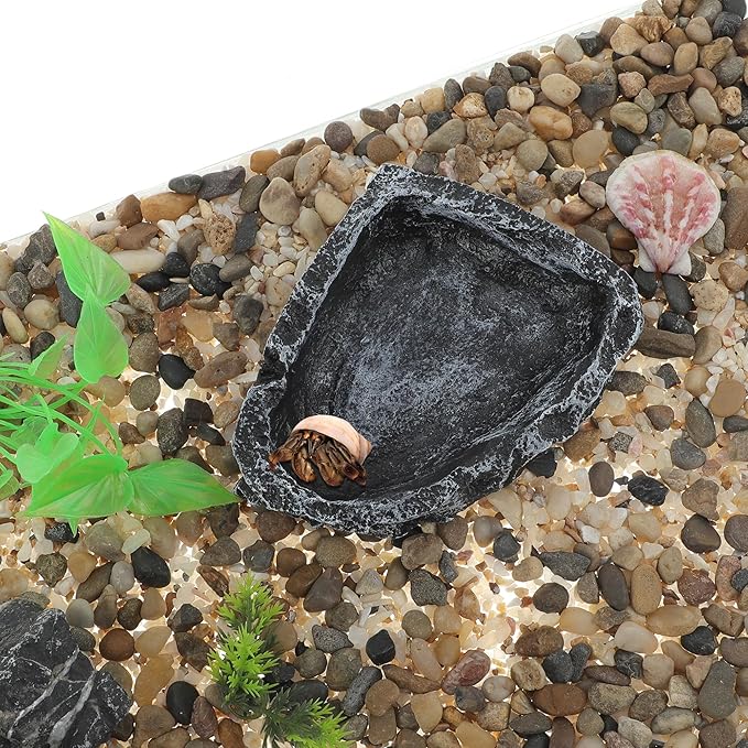 Reptile Food Dish, Resin Lizard Reptile Food Dish, Turtle Water Bowl, Terrarium Feeding Bowl Accessory for Lizard Tortoise Snakes Gecko, Black, 4.72"x3.74"x0.98"