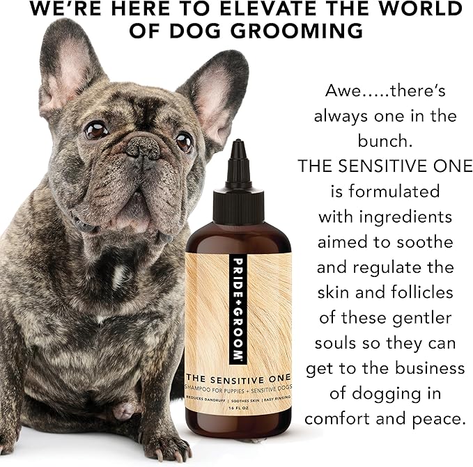 Pride and Groom The Sensitive One | Dog Grooming Shampoo for Puppies and Dogs with Itchy, Dry Skin| Tearless All Natural Body Wash with Essential Oils to Soothe Skin – 16oz (Pack of 2)