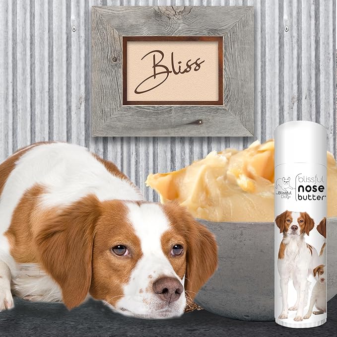 The Blissful Dog Brittany Spaniel Nose Butter for Dry, Cracked Skin, Lick-Safe Dog Nose Balm with Moisturizing Shea Butter, Almond, Olive, and Essential Oils, Pet Supplies, Uncented, 0.50 oz.