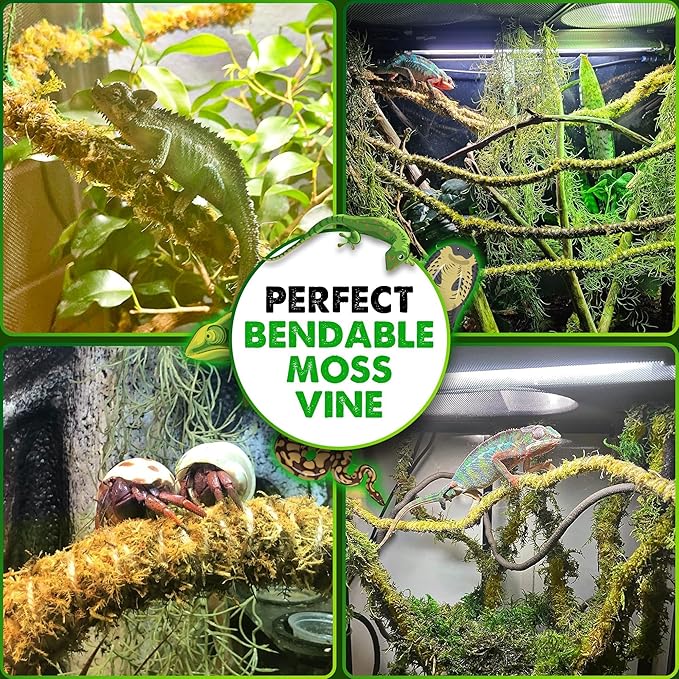 Duspro 10FT Reptile Vines for Climbing Bendable Branch for Reptile Natural Moss Rope Jungle Decor for Bearded Dragon, Chameleon Tank Accessories, Snake Gecko Lizard Terrarium