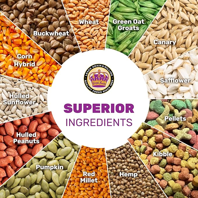 Large Hookbill Plus 25 Lbs, Bird Food for Large Hookbill, Premium Bird Seeds, Supports Growth Energy and Digestive Health, Nutrient-Rich Parrot Birdseeds for Complete & Healthy Balanced Diet