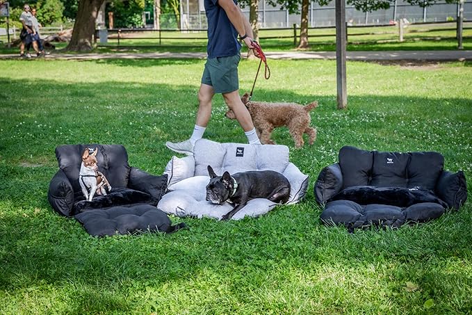 JACKO & CO - Premium Dog Car Seat v2 Booster Seat for Small & Medium Pets Under 40lbs - Machine Washable w Removable Covers, Water Resistant w Clip-On Leash for Back Seat Use (Black/Medium (20-40lbs)