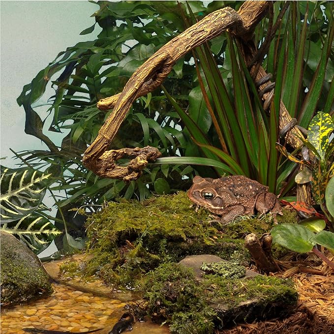 Tetra ReptoHabitat Kit for Aquatic Reptiles and Amphibians, 15 Gallons, Create a Home for Aquatic Juvenile Turtles, Frogs, Newts and Salamanders, 24.4 x 12.5 x 12.7 inches