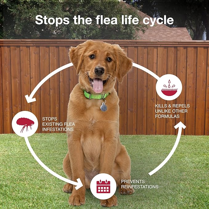 K9 Advantix II Medium Dog Vet-Recommended Flea, Tick & Mosquito Treatment & Prevention | Dogs 11-20 lbs. | 4-Mo Supply (Pack of 2)