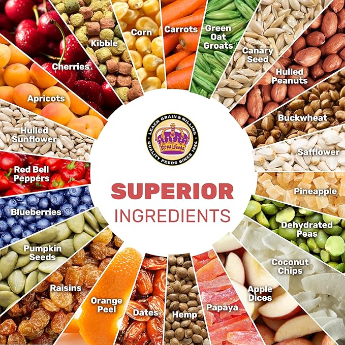 Small Hookbill Cuisine, 4 Lbs Premium Birdseeds for Parrot, Bird Food for Small Hookbill, Supports Daily Energy, Growth & Digestive Health, Nutrient-Rich Parrot Bird Seed for Outside Feeders