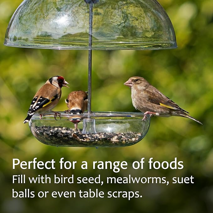 Mealworm Feeder - Jacobi Jayne® Pearl Feeder - Dome Bird Feeder for Small Birds - Bluebird Feeder for Mealworms - Platform Bird Feeder with Dome Cover - Covered Mealworm Feeder - Attracts Blue Birds