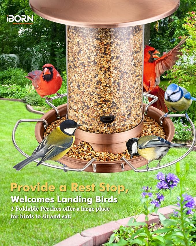 iBorn Bird Feeder Metal Squirrel Chew-Proof Bird Feeders for Outdoors Hanging Outside for Cardinal, Holds 1.5LB Seed with 3 Perchs, Brushed Copper (Seed is not Included)