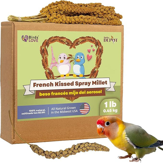 Birds LOVE French Kissed Spray Millet for Birds - Parakeets, Cockatiels, Lovebirds, Finches, Budgies, Canaries, Cockatoos - Natural & Healthy Bird Millet - Parakeet Food & Treats for All Parrots 1lb