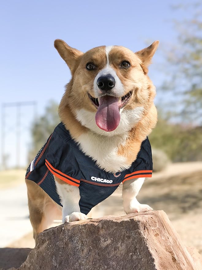Pets First NFL Unisex-Adult NFL Jerseys