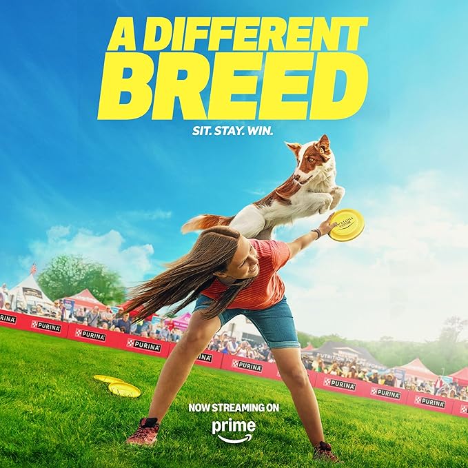 Purina Pro Plan Sensitive Skin and Stomach Dog Food Dry, Adult Salmon & Rice Formula, Digestive Health - 16 lb. Bag