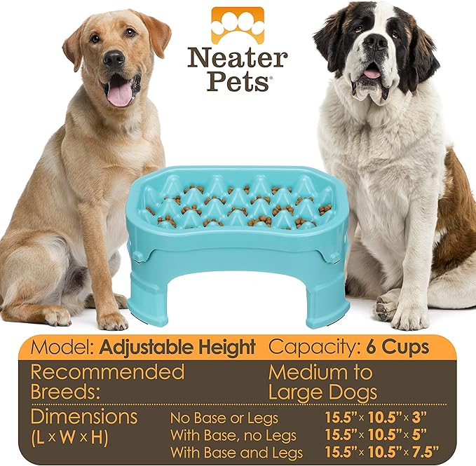 Neater Pet Brands – Neater Raised Slow Feeder Dog Bowl – Elevated and Adjustable Food Height - (6 Cup, Aquamarine)