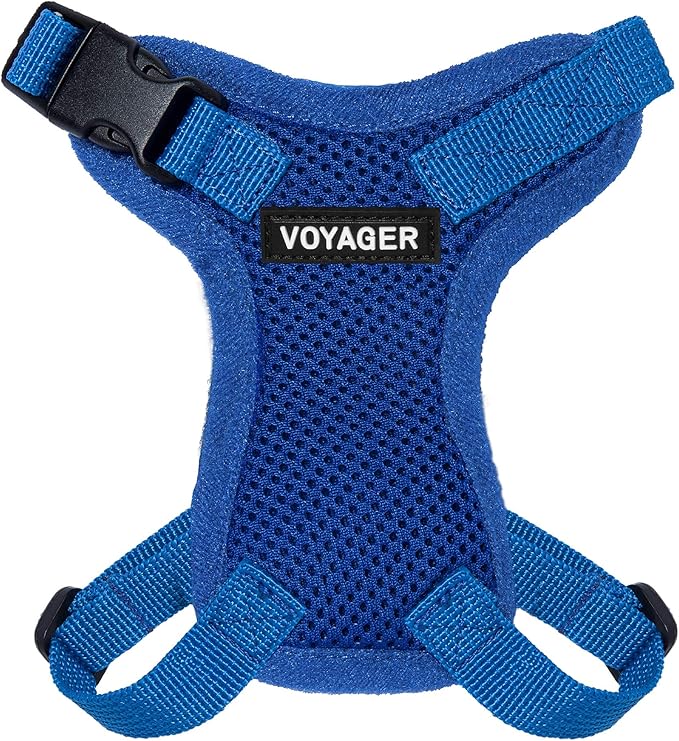 Voyager Step-in Lock Adjustable Cat Harness w. Cat Leash Combo Set with Neoprene Handle 5ft - Supports Small, Medium and Large Breed Cats by Best Pet Supplies - Royal Blue, XXS