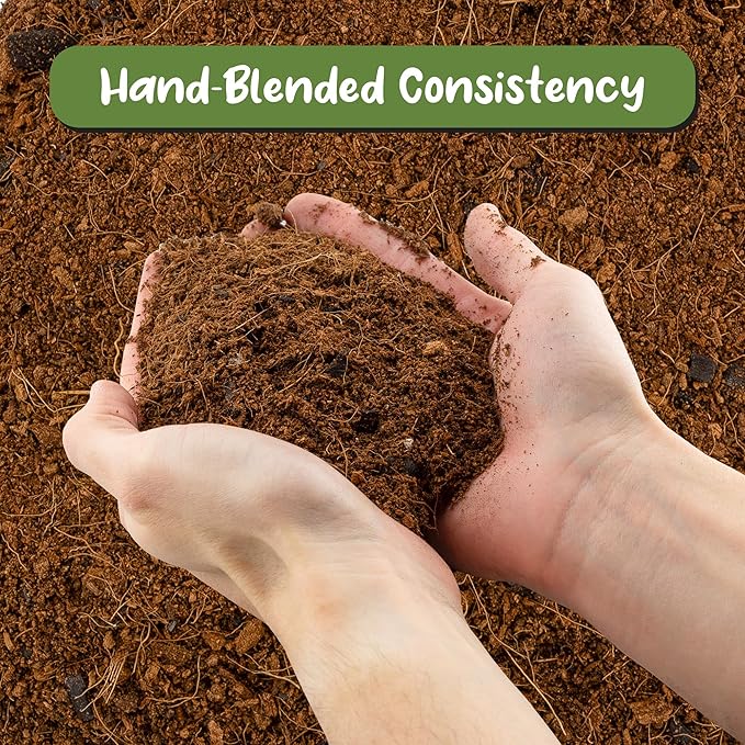 Soil Sunrise Terrarium Potting Soil Mix (8 Quarts) w/Blended Filtering Charcoal Custom Made for Terrariums