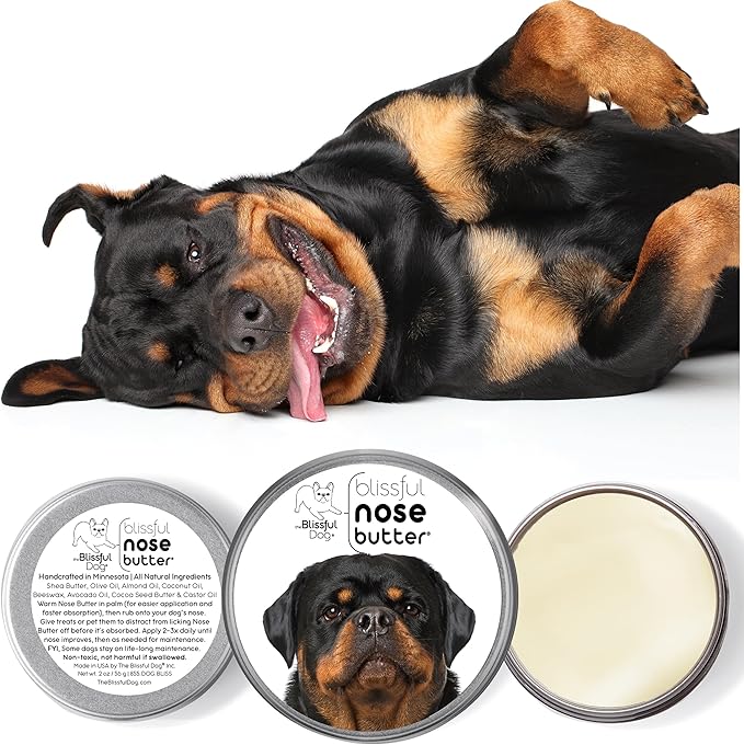 The Blissful Dog Rottweiler Nose Butter for Dry, Cracked Skin, Lick-Safe Dog Nose Balm with Moisturizing Shea Butter, Almond, Olive, and Essential Oils, Pet Supplies, Uncented, 1 oz.