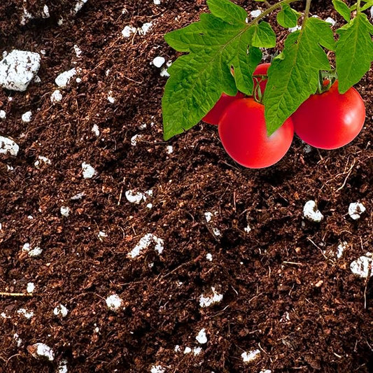 Coco Perlite - Coco Coir Perlite Mix - 70/30 Growing Media - Hydroponic, Indoor & Outdoor, Grow Bags & House Plants (3 quarts)