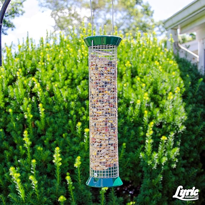 Lyric Fruit and Nut Wild Bird Seed, High Energy Wild Bird Food Mix, 20 lb. Bag