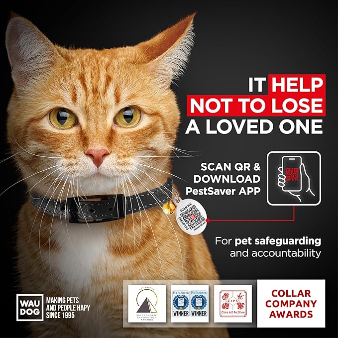 Leather Cat Collar with Bell and Safety Elastic Strap Breakaway Alternative for Small & Large Kittens, Stylish Pet Leather Collar for Boy, Girl Cats with Metal Buckle & QR ID Tag (Black)