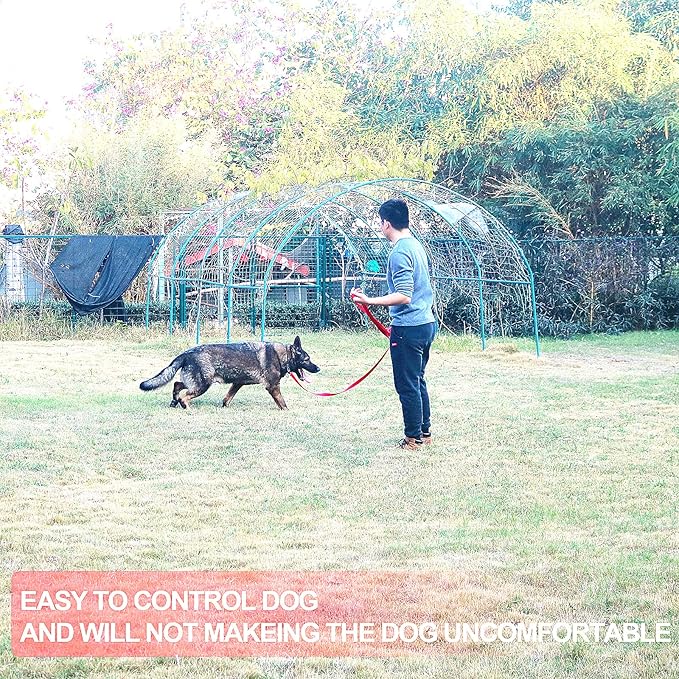 Dog/Puppy Obedience Recall Training Agility Lead - 20ft Long Training Leash，3/4in Wide - Great for Play, Camping, or Backyard (20 Feet, Black)