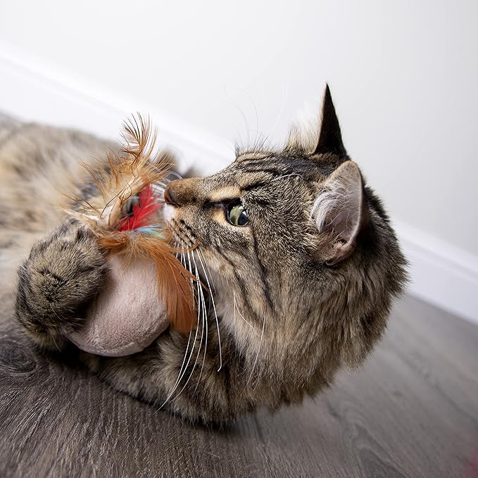 SmartyKat Chit Chatter Electronic Sound Cat Toy, Battery Powered - Randomly Selected Color, One Size