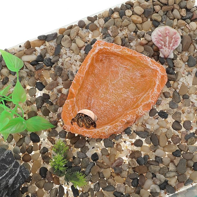 Reptile Food Dish, Resin Lizard Reptile Food Dish, Turtle Water Bowl, Terrarium Feeding Bowl Accessory for Lizard Tortoise Snakes Gecko, Orange, 4.72"x3.74"x0.98"