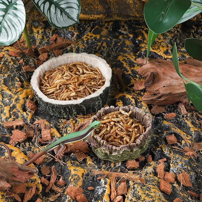 IBWell 2pcs Reptile Water Bowl with Feeding Tweezers - Food Dish for Lizard, Snake, Tortoise & Small Animals - Gray Tree Stump