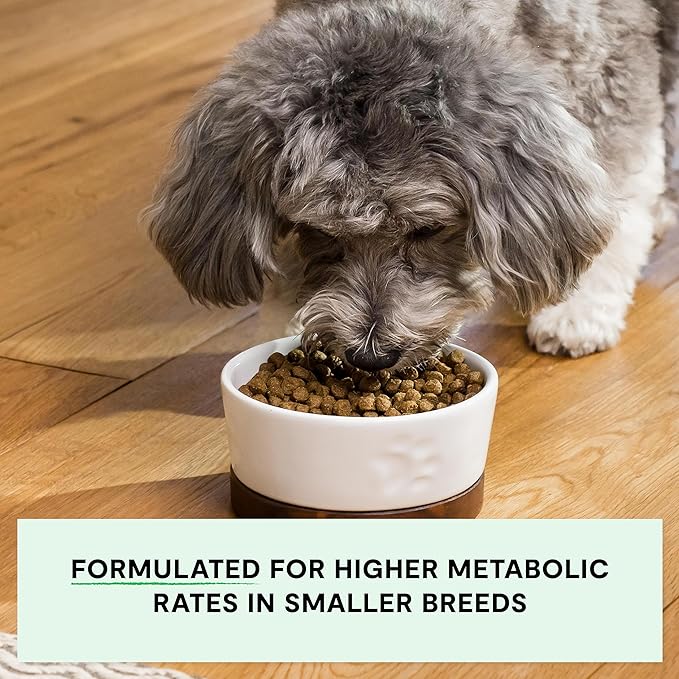 Open Farm, Grain-Free Dry Dog Food for Small Breeds, High-Protein Kibble, Sustainably & Ethically Sourced Ingredients, Non-GMO Veggies & Superfoods, Chicken & Turkey Recipe for Small Dogs, 11lb Bag