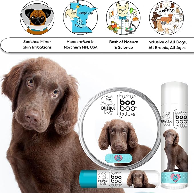 The Blissful Dog Flat-Coat Retriever Boo Boo Butter, 8-Ounce