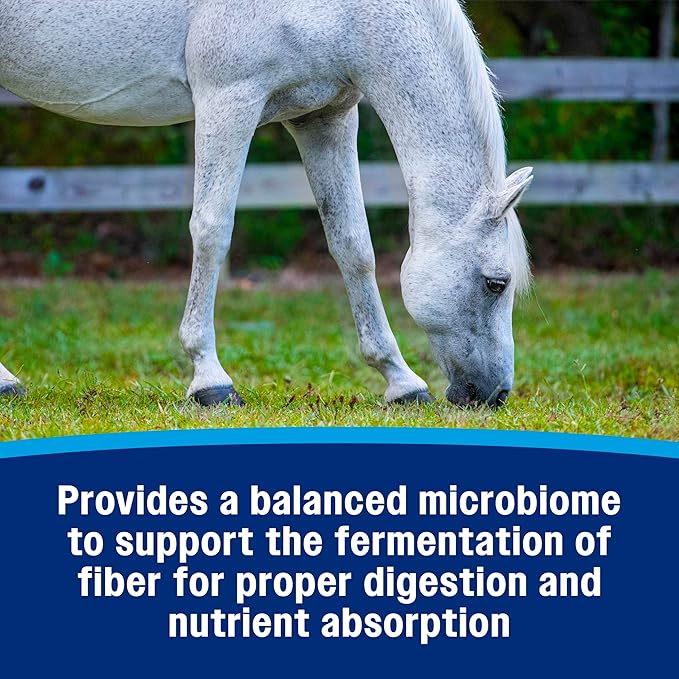 Farnam Hindgut Stabilizer Pellets, Daily Digestive & Immune Supplement for Horses Helps Maintain a Balanced Microbiome for Optimal Digestion
