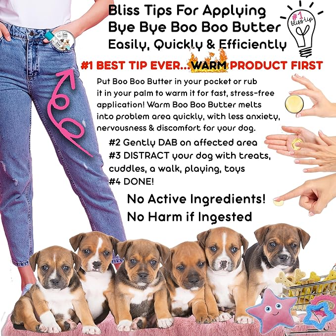 The Blissful Dog 2 oz TIN American Staffordshire Terrier Booboo Butter