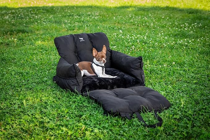 JACKO & CO - Premium Dog Car Seat v2 Booster Seat for Small & Medium Pets Under 25lbs - Machine Washable w Removable Cover Water Resistant w Clip-On Leash for Front or Back Seat (Black/Small (1-25lbs)